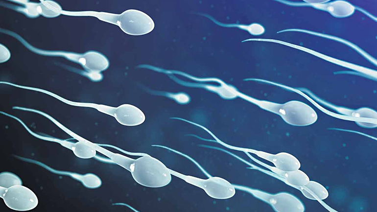 Αλλεργία στο σπέρμα